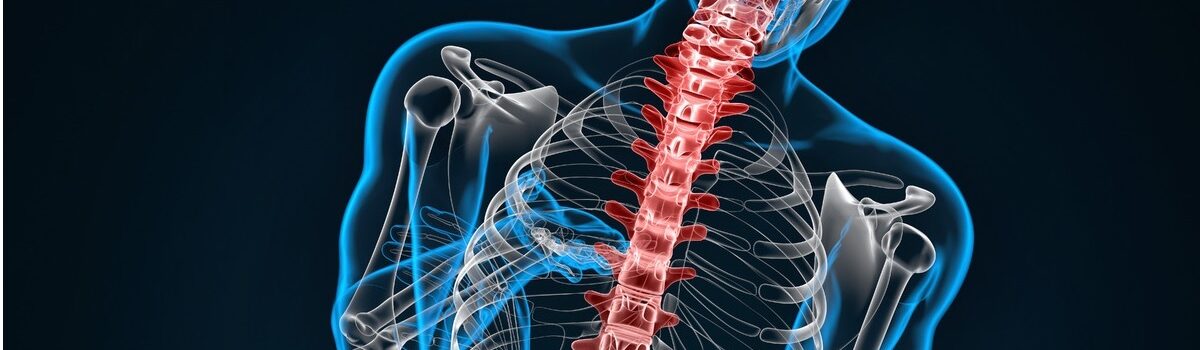 Progetto “Screening nella scuola per la diagnosi della scoliosi”, promosso dell’ASST Gaetano Pini-CTO